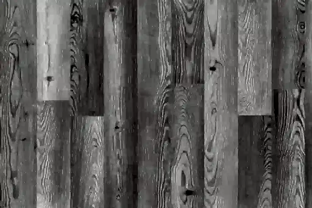 bella Lilyum parke modeli