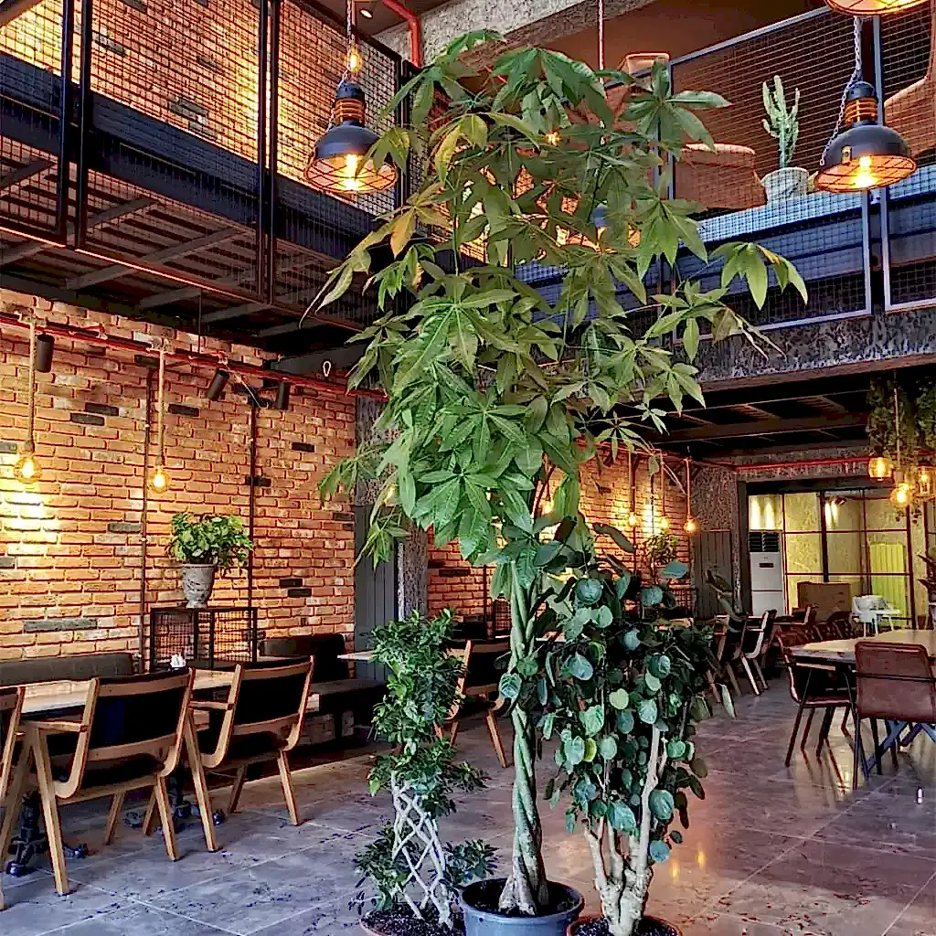 dekoratif dogaltas 8