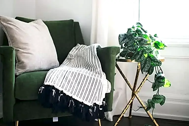 Ev Bitkileri ile Salonların Dekorasyonu