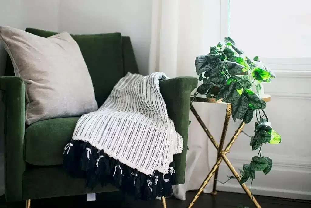 Ev Bitkileri İle Salon Dekorasyonu